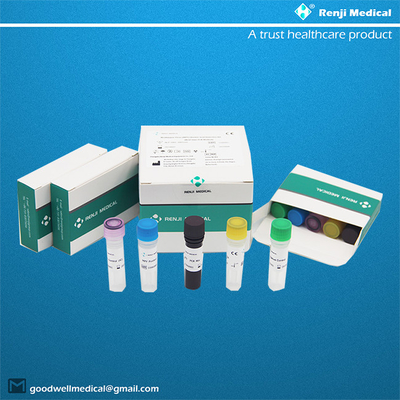 Monkeypox Virus MPV Nucleic Acid Detection Kit Real Time PCR Method