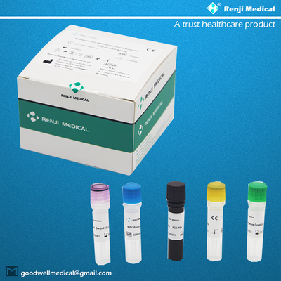 Monkeypox Virus MPV Nucleic Acid Detection Kit Real Time PCR Method