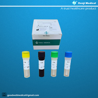 Novel Coronavirus COVID-19 Nucleic Acid Testing Kit CE Qualitative Rt Pcr Test