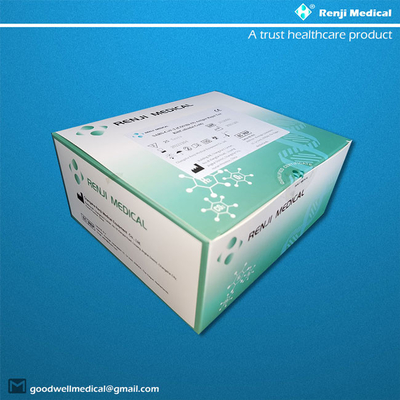 Home Rapid COVID 19 Testing Kit EO Sterilization SGS ISO13485 Certification