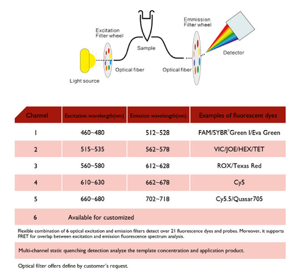 MSDS Nucleic Acid Extraction Machine , MA6000 Real time Quantitative PCR Machine