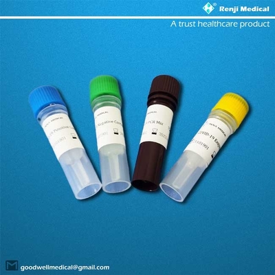 MA SDS certificated Nucleic Acid Testing Kit Polymerase Chain Reaction PCR